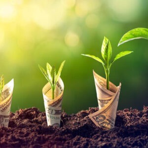 economic development
